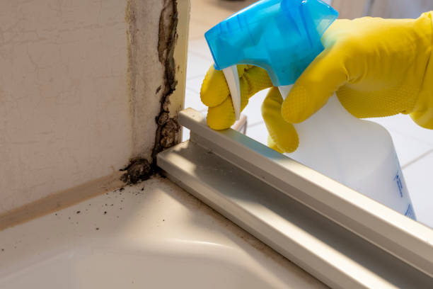 Best Emergency Mold Removal  in Casper, WY